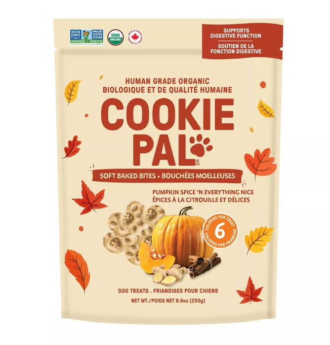 Cookie Pal Pumpkin Spice 'N Everything Nice