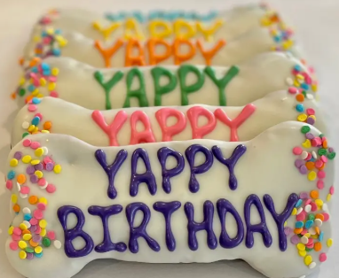 Delco Dog Yappy Birthday Bone
