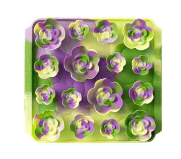 Tall Tails Foraging Mat Succulent Garden