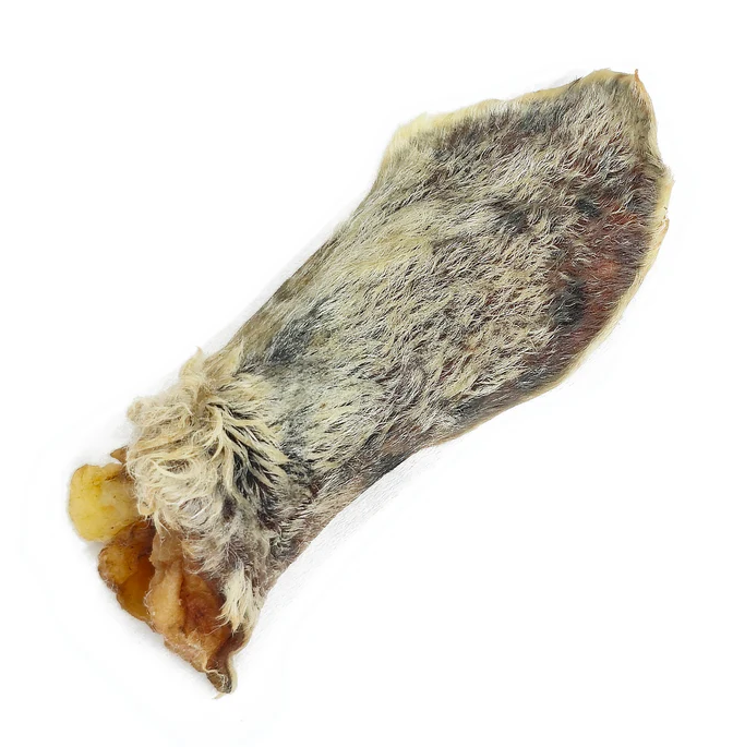 Tuesday's Natural Dog Hairy Lamb Ear