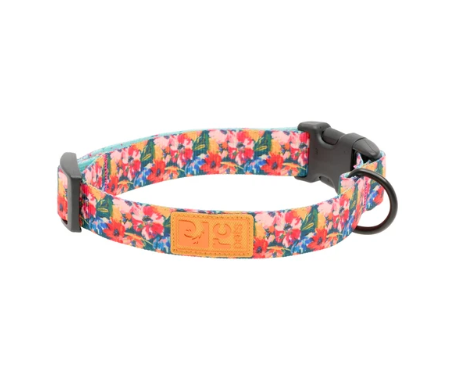 RC Pets Eco Collar Wildflowers