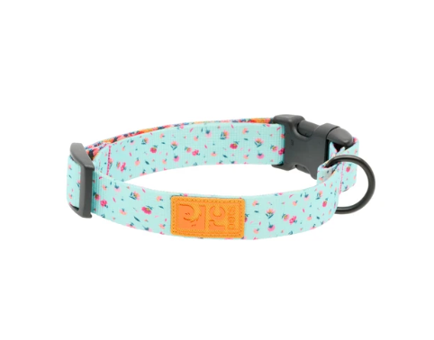 RC Pets Eco Collar Dainty Mint
