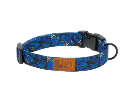 RC Pets Eco Collar Flutter