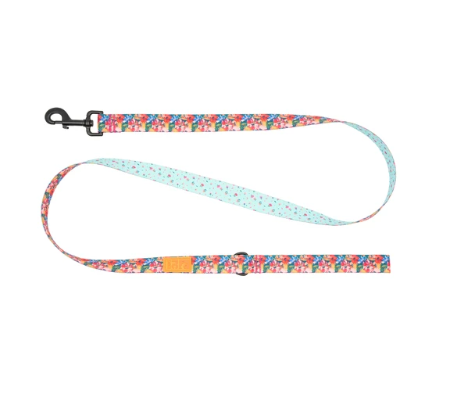 RC Pets Eco Leash Wildflowers / Dainty Mint