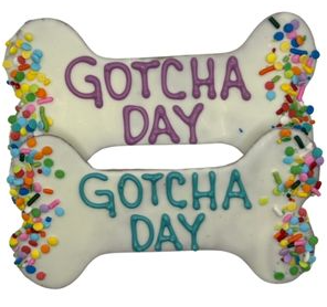 Preppy Puppy Gotcha Day Bone