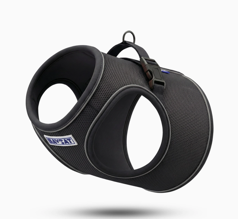 BayCat Cat Harness & Leash Black
