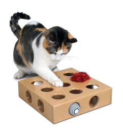 SmartCat Peek & Play Toy Box