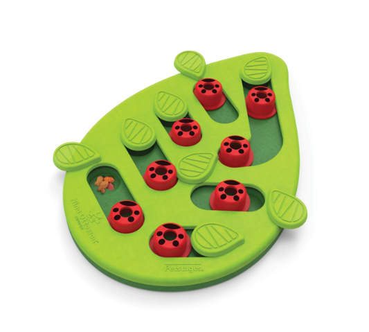 Petstages Puzzle Buggin Out