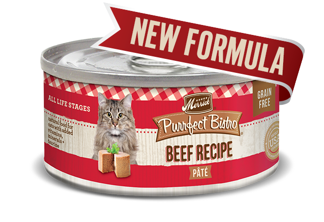 Merrick Cat Bistro Beef 5.5oz