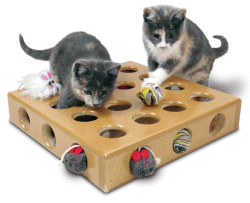 SmartCat Peek A Prize Toy Box