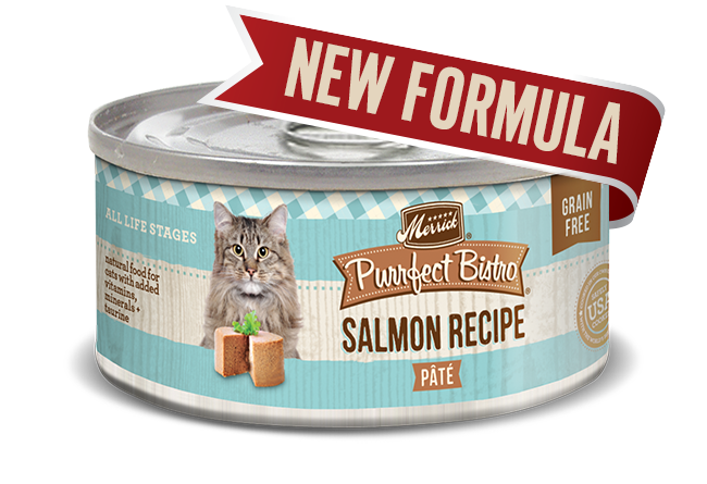 Merrick Cat Bistro Salmon 5.5oz